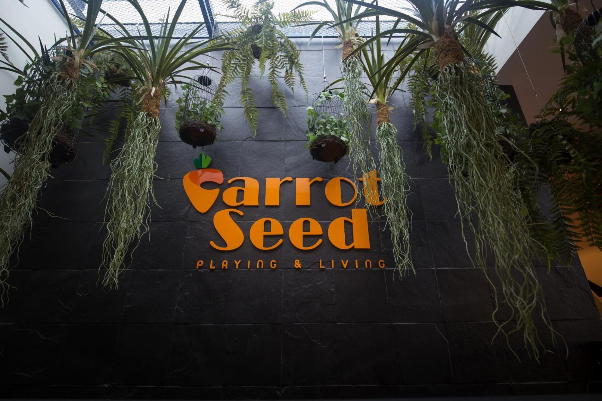Carrot Seed *