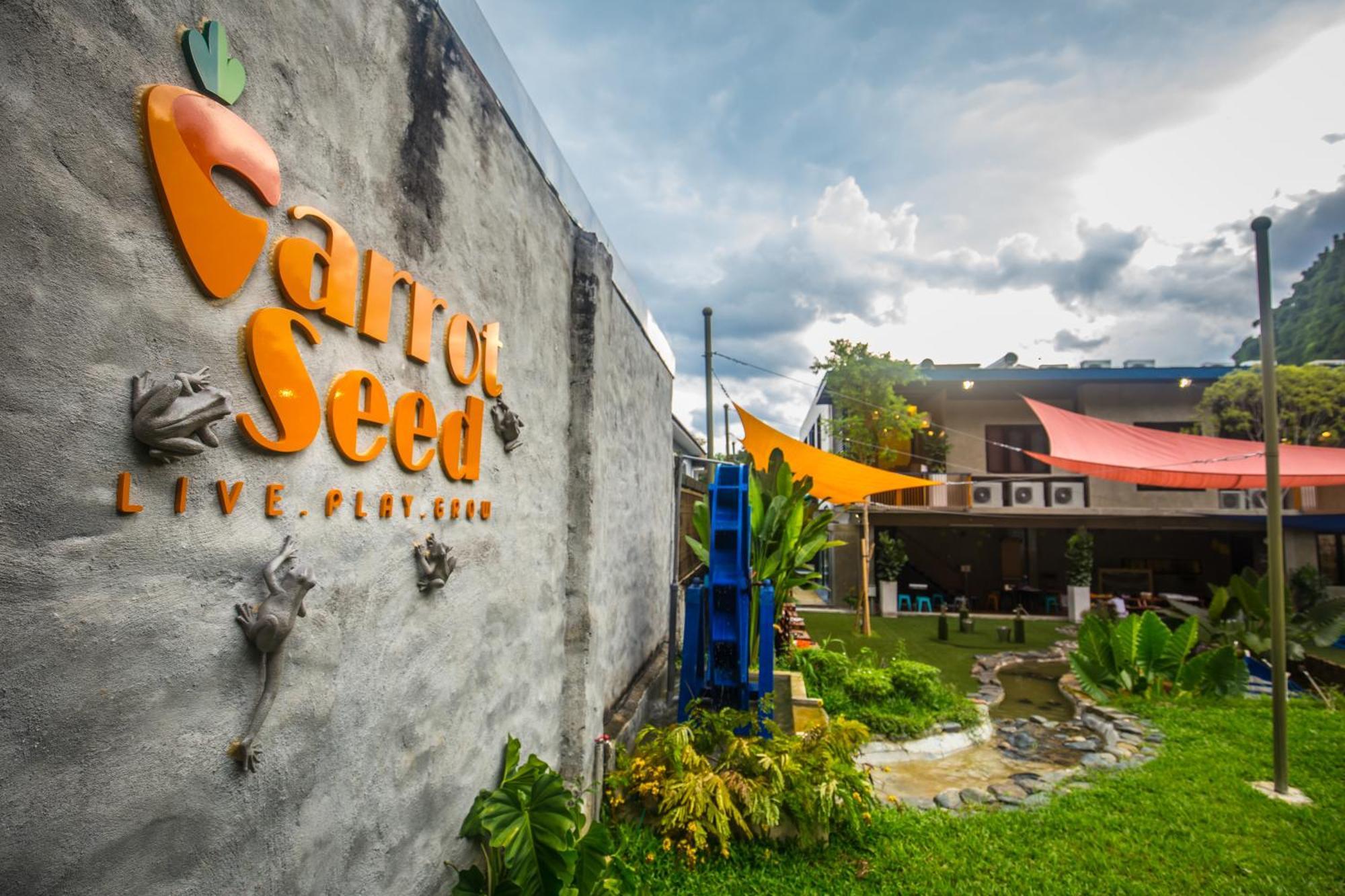 Carrot Seed *